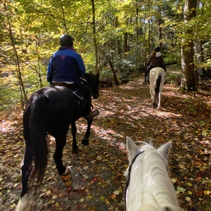 Fundraising Page: Sue Lundstrom